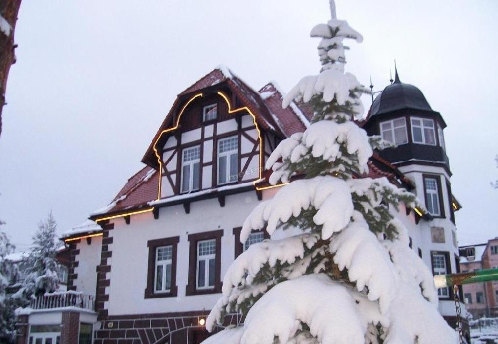 Willa Palacyk Swieradow-Zdroj Exterior photo
