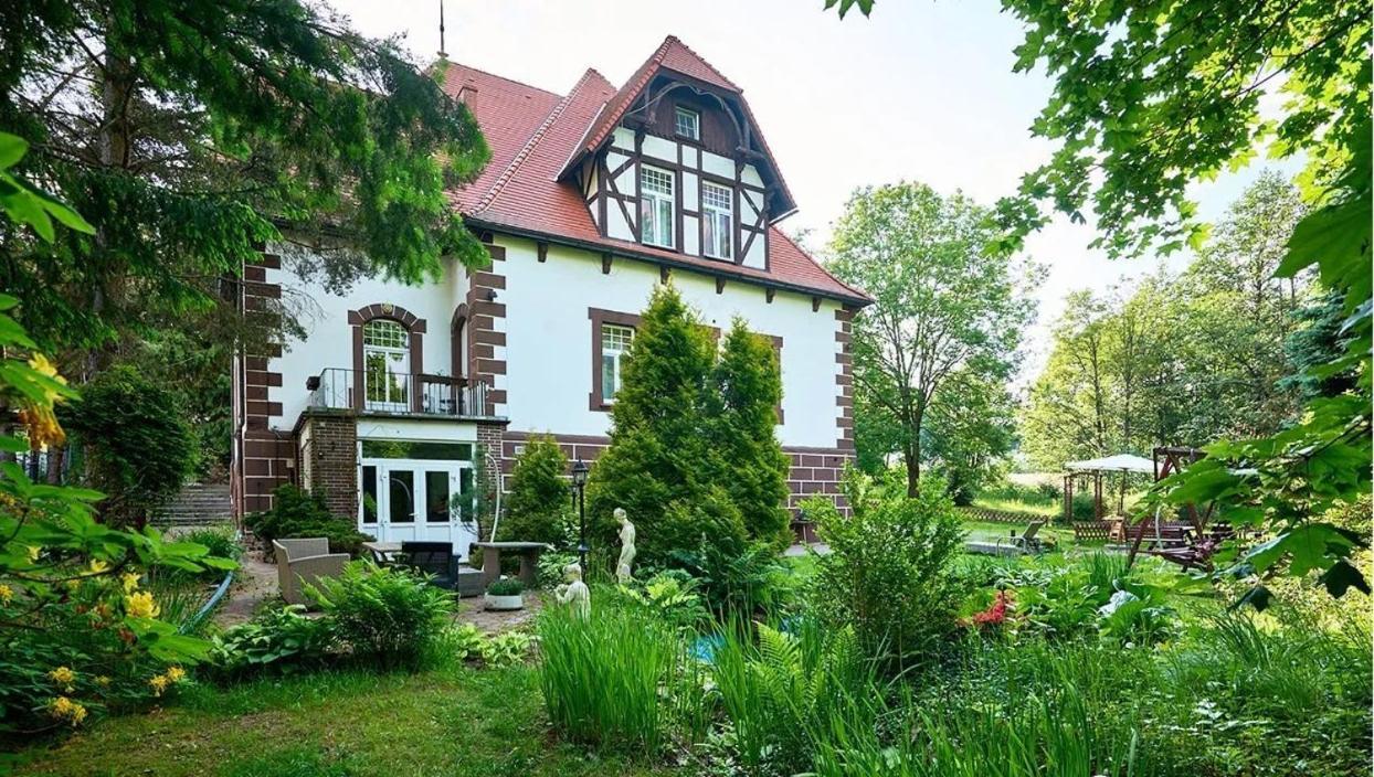 Willa Palacyk Swieradow-Zdroj Exterior photo